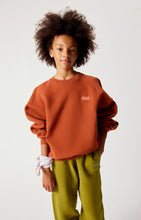Laden Sie das Bild in den Galerie-Viewer, Sweatshirt Izubird Vintage Zimt