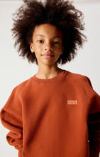 Laden Sie das Bild in den Galerie-Viewer, Sweatshirt Izubird Vintage Zimt