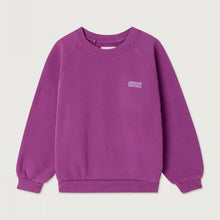 Laden Sie das Bild in den Galerie-Viewer, Sweatshirt Izubird Vintage Traubensaft