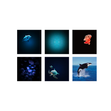 Laden Sie das Bild in den Galerie-Viewer, Kidystar Projektor Ozean