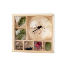 Laden Sie das Bild in den Galerie-Viewer, Huckleberry Little Museum