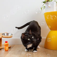 Laden Sie das Bild in den Galerie-Viewer, Katzenminze Seifenblasen
