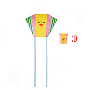 Funny Faces Pocket Drache