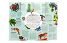 Laden Sie das Bild in den Galerie-Viewer, Wildes Land 1000-teiliges Puzzle