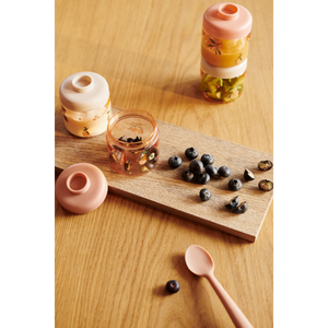 Dominique Snackboxen Peach/Sea Shell