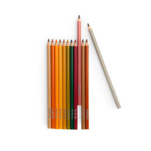 12 Buntstifte + 3 Ausmalbilder Tiere