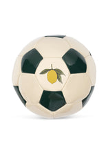 Laden Sie das Bild in den Galerie-Viewer, Fußball Set