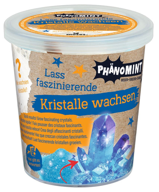 PhänoMINT Kristalle Züchten