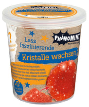 Laden Sie das Bild in den Galerie-Viewer, PhänoMINT Kristalle Züchten