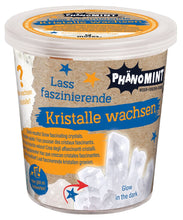 Laden Sie das Bild in den Galerie-Viewer, PhänoMINT Kristalle Züchten