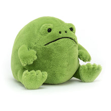 Laden Sie das Bild in den Galerie-Viewer, Ricky Rain Frog
