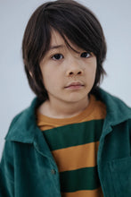Laden Sie das Bild in den Galerie-Viewer, Wide Cut Longsleeve gold country green block stripe