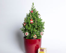 Laden Sie das Bild in den Galerie-Viewer, SchokoSchatz Weihnachts-Edition