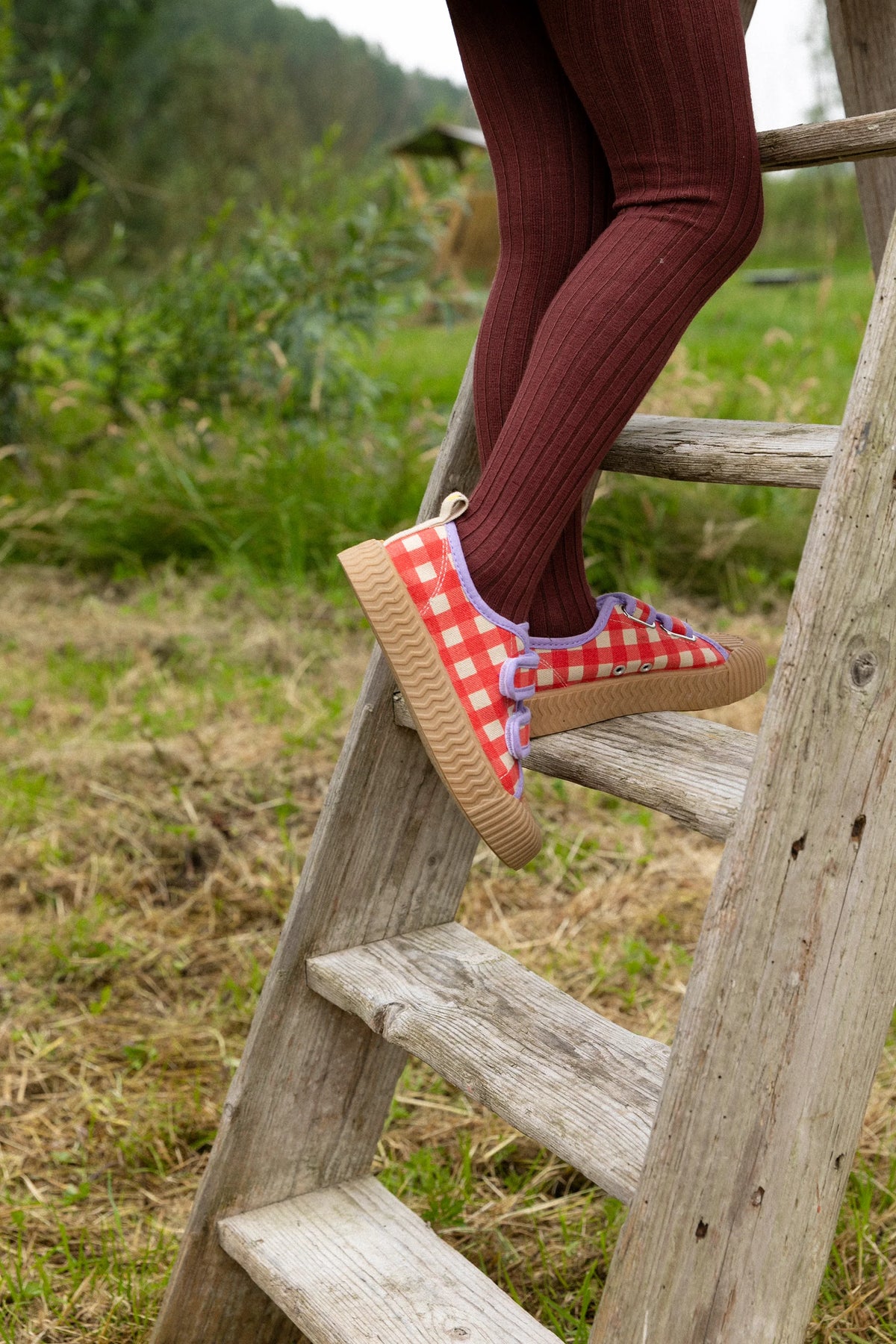 Canvas Turnschuh Poppy Gingham