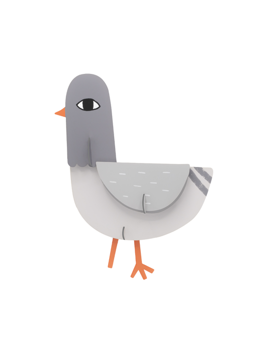 Paddy Pigeon
