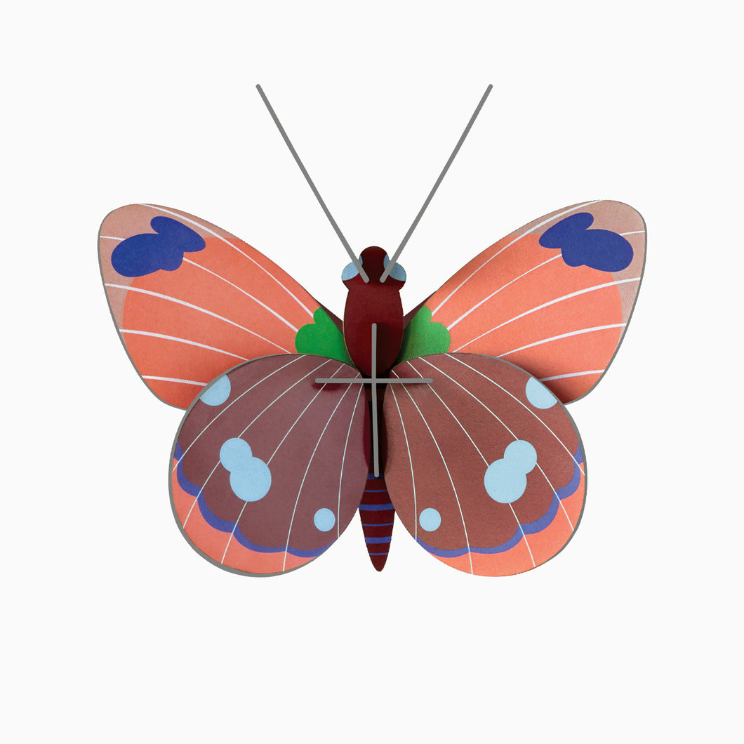Delias Butterfly