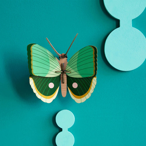 Fern Striped Butterfly
