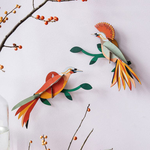 Paradise Bird Obi