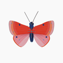 Laden Sie das Bild in den Galerie-Viewer, Speckled Copper Butterfly
