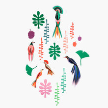 Laden Sie das Bild in den Galerie-Viewer, Wall of Curiosities &quot;Bird Observer&quot;