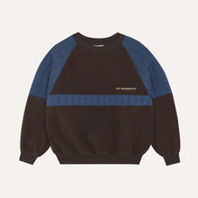 Laden Sie das Bild in den Galerie-Viewer, Brown Polar Sweatshirt