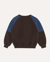 Laden Sie das Bild in den Galerie-Viewer, Brown Polar Sweatshirt