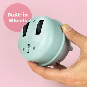 Rocking Rollers Katze