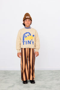 Tiny Dog Sweatshirt