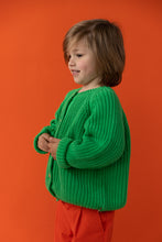 Laden Sie das Bild in den Galerie-Viewer, Knitted Raglan Cardigan Apple Green
