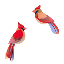 Laden Sie das Bild in den Galerie-Viewer, Cardinals