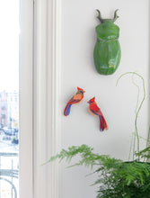 Laden Sie das Bild in den Galerie-Viewer, Cardinals