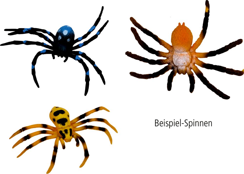 Wild+Cool Glibberiges Spinnen-Ei