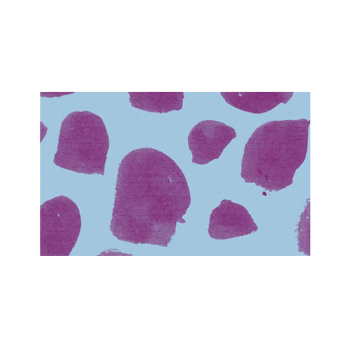 Washi Tape Dots