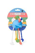 Laden Sie das Bild in den Galerie-Viewer, Sensory Planet