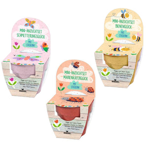 Mini-Anzuchtset Frühlingswiese