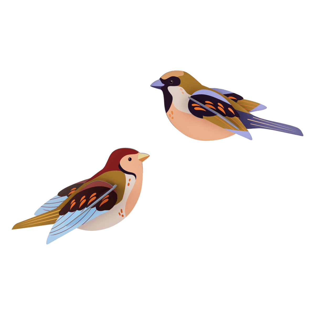 Sparrows