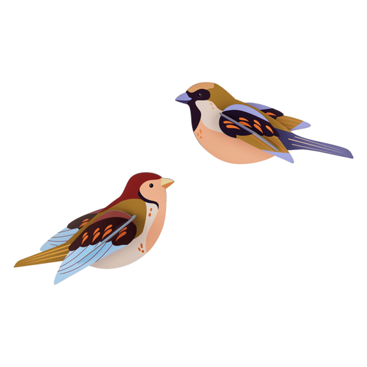 Sparrows