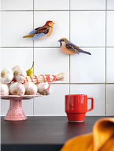 Laden Sie das Bild in den Galerie-Viewer, Sparrows