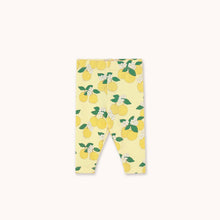 Laden Sie das Bild in den Galerie-Viewer, Oranges Rib Baby Leggings