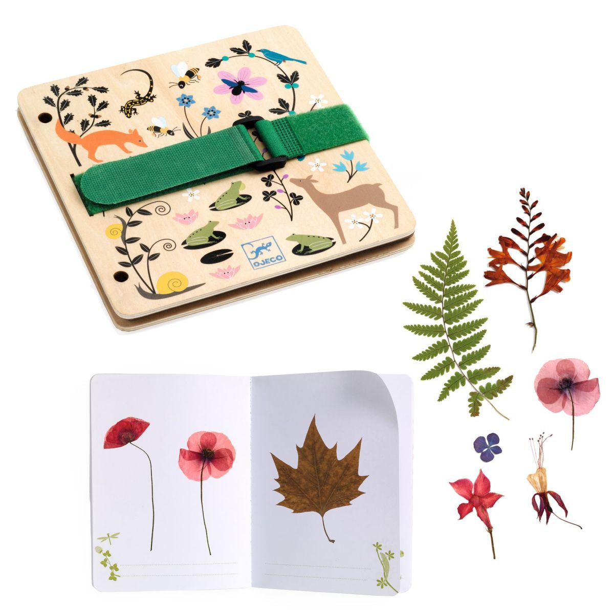 Do it yourself: Pflanzenpresse & Herbarium