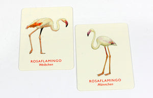 Vogelpaare Memo