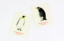 Laden Sie das Bild in den Galerie-Viewer, Vogelpaare Memo