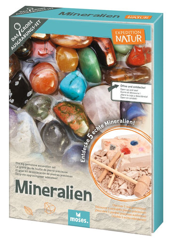 Das große Mineralien-Ausgrabungs-Set