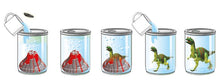 Laden Sie das Bild in den Galerie-Viewer, Vulkano Saurus