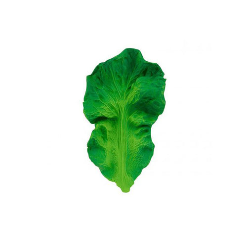 Zahnungshilfe Grünkohl 