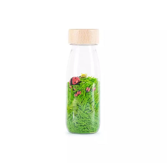 Sensorik Flasche Marienkäfer