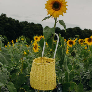 Rattan Luggy Lemon
