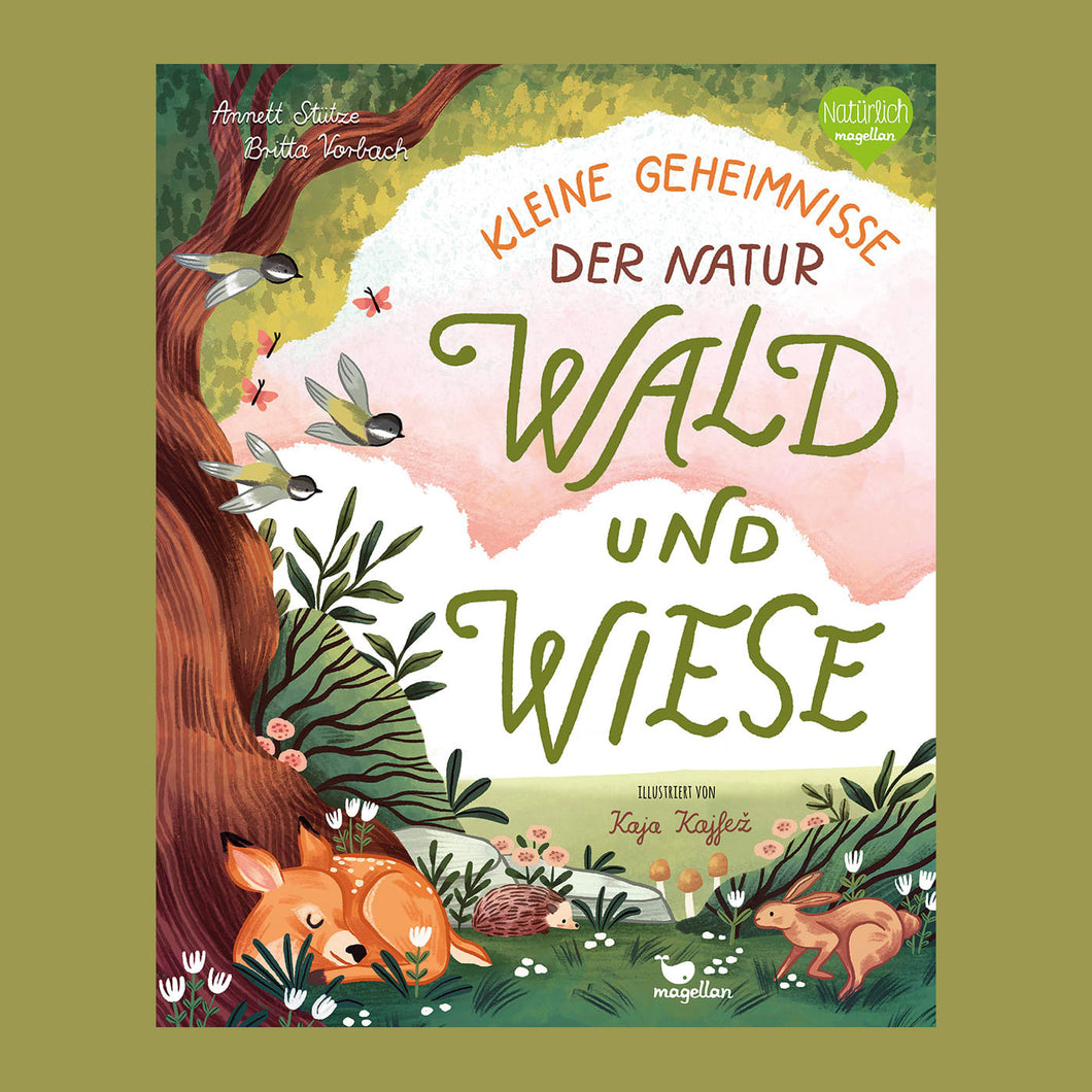 Kleine Geheimnisse der Natur - Wald und Wiese ab 4J.