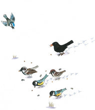 Laden Sie das Bild in den Galerie-Viewer, So ist der Winter ab 3J.